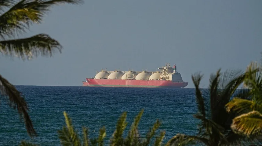 Veliki LNG brod sa okruglim rezervoarima plovi otvorenim morem, sa blagim talasima i djelimično zamagljenim palmim granama u prvom planu.