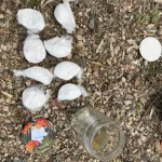 Policija u Banovićima pronašla pola kilograma droge: Uhapšen 32-godišnjak