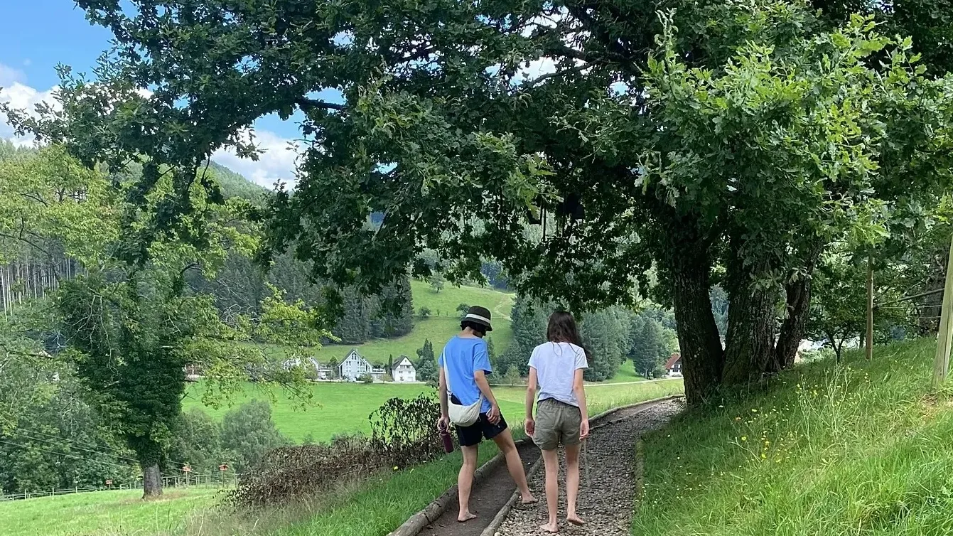 Dvoje djece sa stražnje strane, jedno u plavoj majici i šeširu, a drugo u bijeloj majici, šeta šljunčanom stazom pored zelenih brežuljaka.