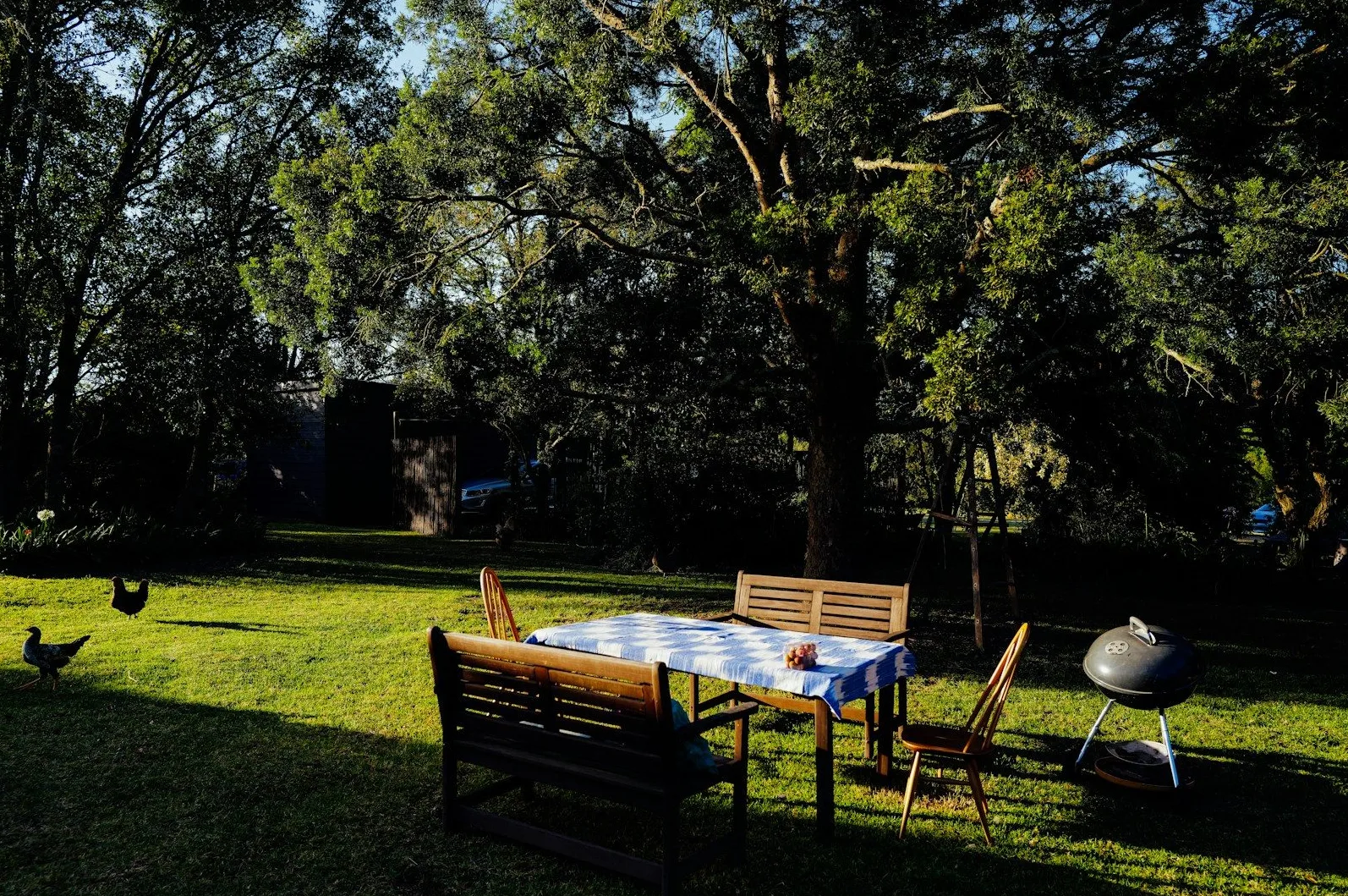 Slika prikazuje lijepo uređen vrt sa stolom i klupama prekrivenim plavim kariranim stolnjakom, stolice oko stola, roštilj i kokoši koje slobodno hodaju po zelenoj travi pod sjenom drveća.