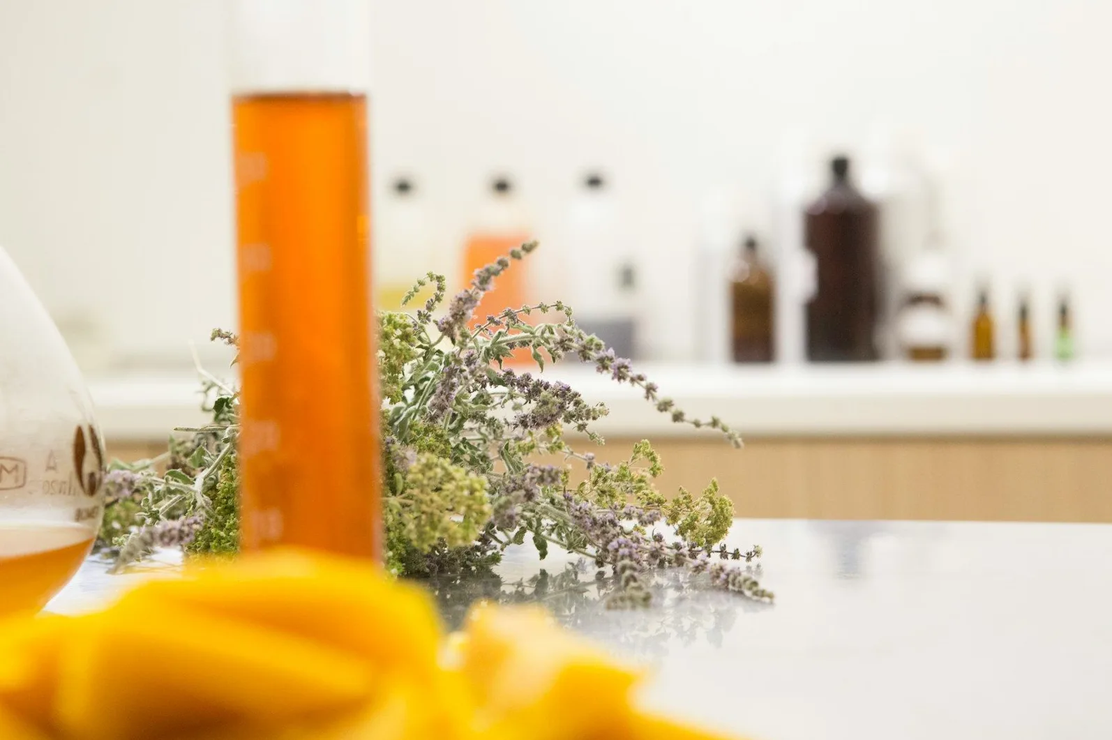 Laboratorijski epruvet sa narandžastom tečnošću pored buketa bilja sa sitnim cvjetovima i žutim kriškama, u pozadini se vide bočice.