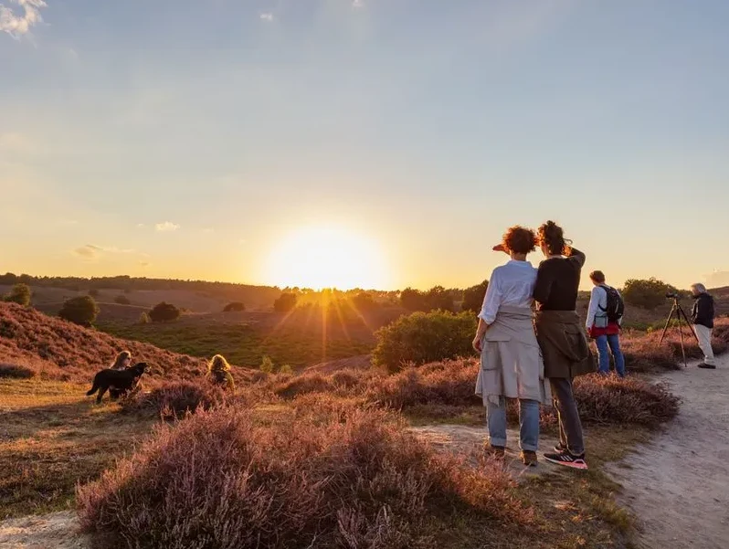 Grupa ljudi i pas uživaju u zalasku sunca na proplanku prekrivenom cvjetnim vrijeskom.