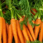 Kulinarski trijumf: Zašto je pečena mrkva najbolji izbor za zdravu i ukusnu ishranu?