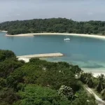 Tragična sudara kod Južnih ostrva: Tower Transit odaje počast kolegi koji je izgubio život