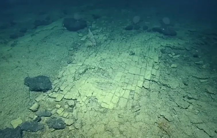 Podvodni pejzaž sa slojevitim, ispucalim stijenama zelene boje na morskom dnu.