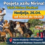 Azil “Nirina” u Tuzli otvara vrata: Druženje i podrška za pse