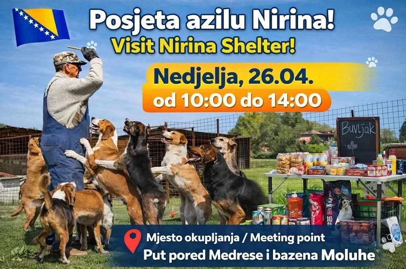 Dvorište azila sa psima koji stoje na zadnjim nogama uz radnika, zastava Bosne i Hercegovine, natpis "Posjeta azilu Nirina! Visit Nirina Shelter!", "Nedjelja, 26.04. od 10:00 do 14:00", tezga sa hranom za pse i potrepštinama, te lokacija "Mjesto okupljanja / Meeting point: Put pored Medrese i bazena Moluhe".