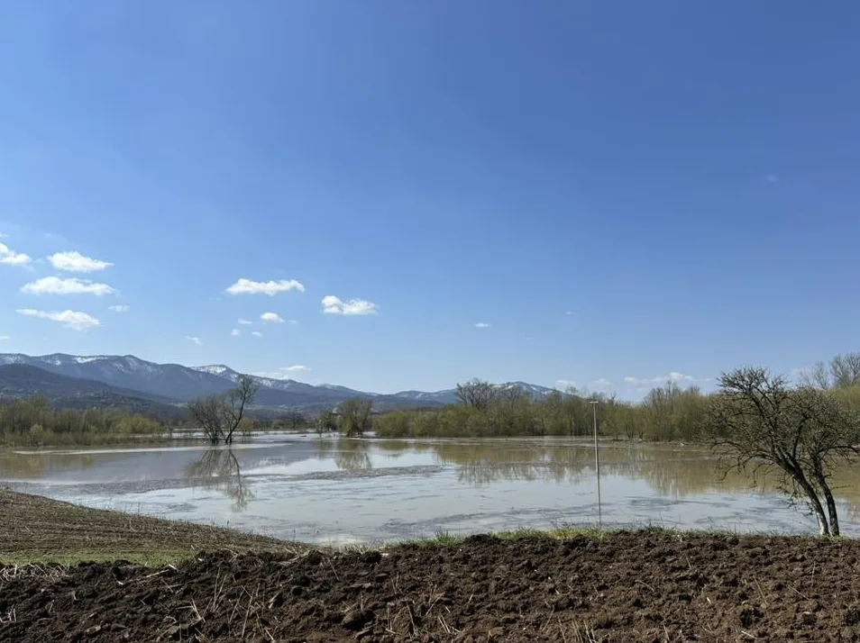 Poplavljeno poljoprivredno zemljište u proljeće, sa snijegom na udaljenim planinama.