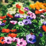 Jednostavan trik za provjeru biljaka: Deset sekundi do odgovora