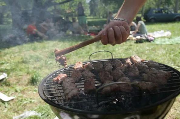 Roštilj kao kalorijska zamka: Evo koliko unosite jednim obrokom