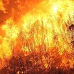 Japanske vlasti u hitnoj akciji: Više od hiljadu ljudi evakuisano zbog bjesnjećih požara na sjeveroistoku