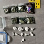 Policija Tuzlanskog kantona u akciji: Oduzeta opojna droga, jedno lice uhapšeno nakon planskih aktivnosti