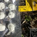 Policija u Konjicu pronašla veću količinu droge, uhapšena jedna osoba