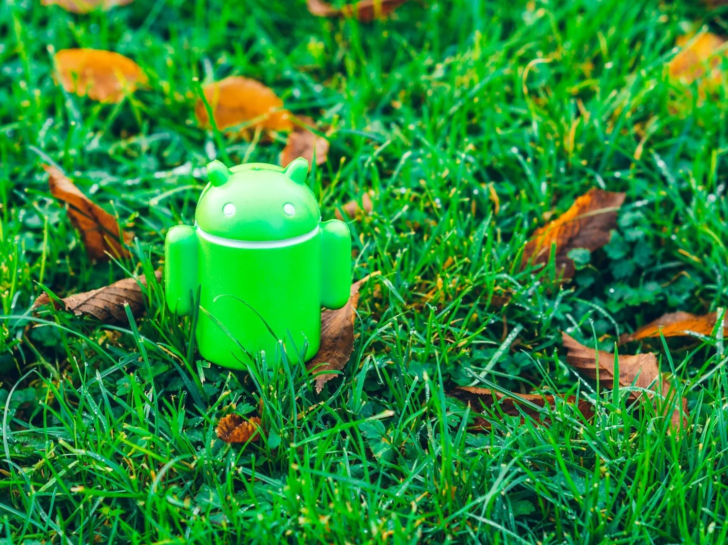 Zeleni Android robot statua u travi sa lišćem.