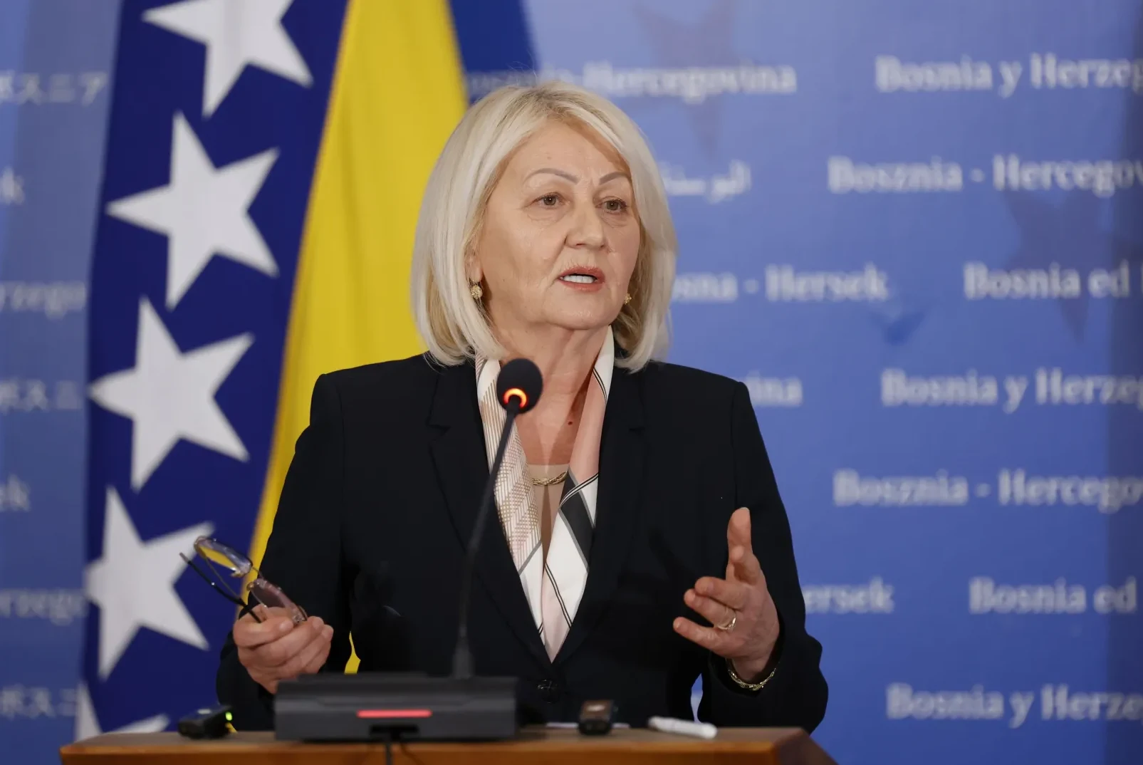 Krišto odbacuje optužbe o blokadama: “Južna plinska interkonekcija je strateški prioritet za BiH”