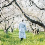 Astrološki preokret: Bik, Škorpija i Jarac ulaze u petogodišnju eru blagostanja i finansijske sigurnosti