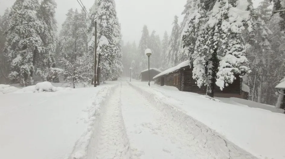 Zimska idila: Ugažena staza kroz zaleđenu šumu prema drvenim kolibama pod gustim snijegom.