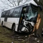 Stravična nesreća u Mađarskoj: Autobus s djecom udario u drvo, 23 povrijeđene