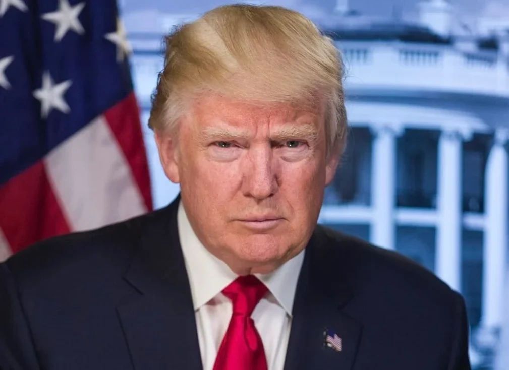 Portret Donalda Trumpa sa američkom zastavom i Bijelom kućom u pozadini.