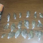 Banjalučka policija zaplijenila 1,5 kilograma marihuane i uhapsila četiri osobe