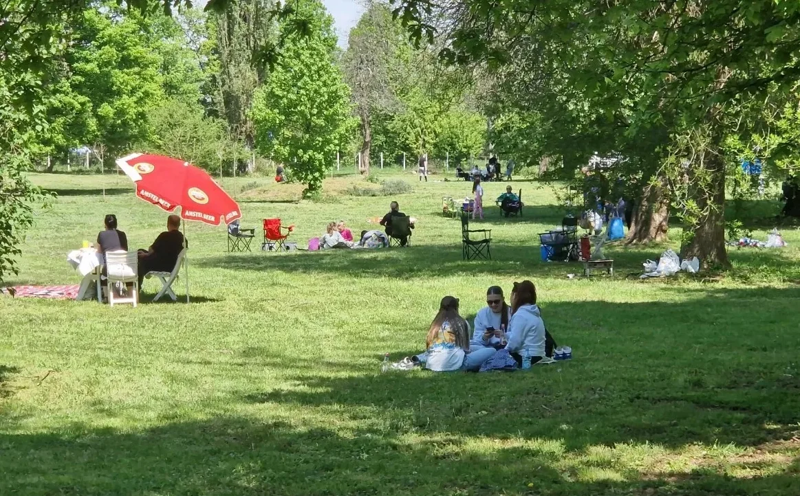 Grupe ljudi uživaju u pikniku i druženju na zelenoj travnatoj površini parka, pod hladovinom drveća. Neki sjede na ćebadima, drugi koriste stolice i suncobran.