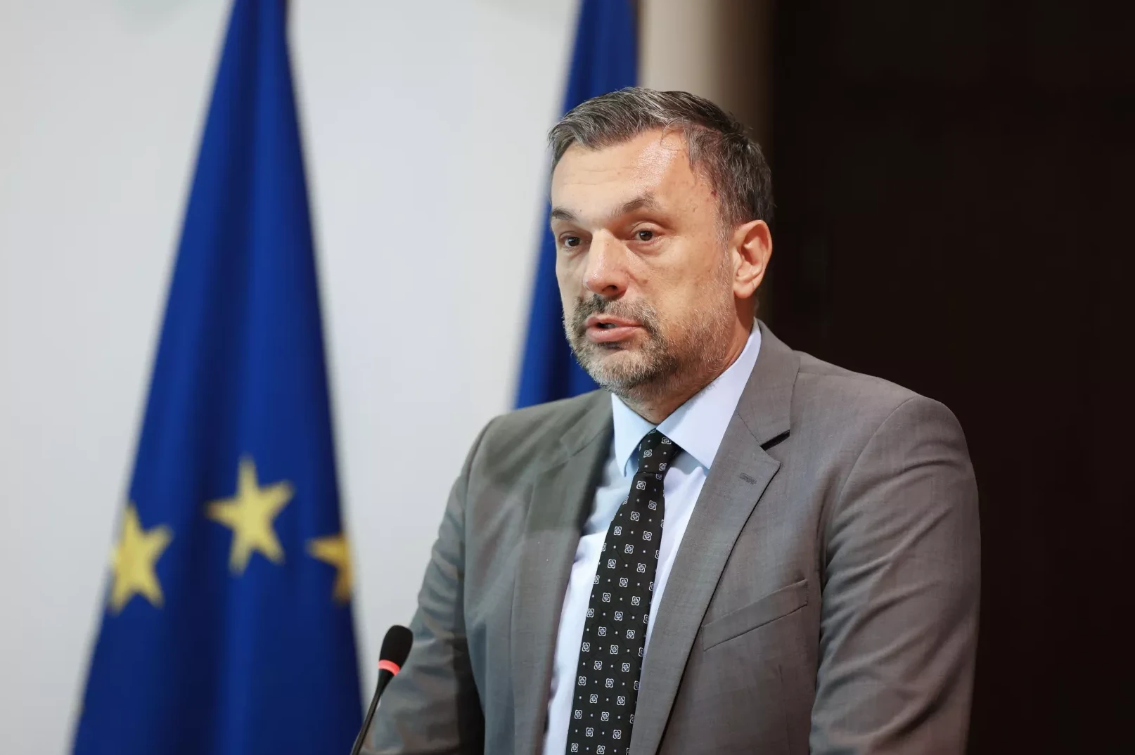 Muškarac u sivom odijelu s crnom kravatom sa bijelim uzorkom, govori u mikrofon ispred plave zastave Evropske unije sa žutim zvjezdicama.