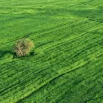 Efikasnije korištenje vode: Ključna uloga poljoprivrednika u klimatskoj borbi