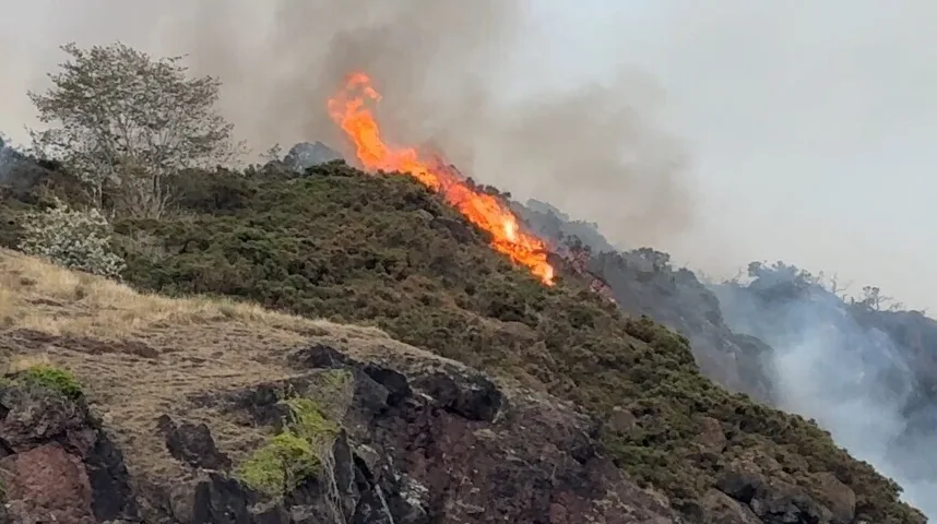 Plamen vatre zahvatio je zelene padine brežuljka, a iznad se diže gusti dim.