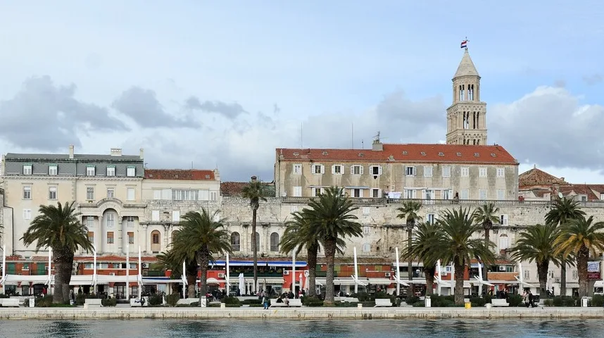 Pogled na palme i obalu Splitske luke sa zgradama u pozadini.