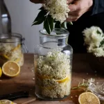 Ljetno osvježenje: Domaći sirup od zove po starinskom receptu