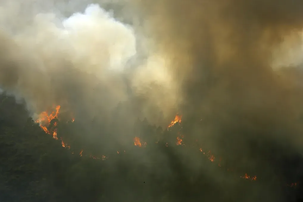 Plamenovi šumskog požara koji izbijaju kroz gusti dim i maglu.
