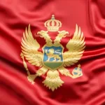 Crna Gora osudila sramotno postupanje prema humanitarnoj flotili za Gazu