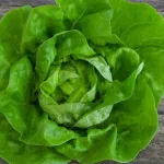 Zelena salata za zdravlje i liniju: Kako utječe na organizam?