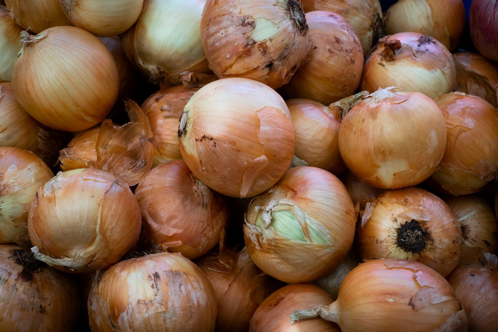 garlic lot on brown wooden table