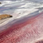 Tanzanijsko jezero Natron: Lijepa fasada smrtonosne sredine