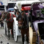 Tragedija u Central Parku: Smrt turiste ponovo otvorila pitanje zabrane konjskih zaprega