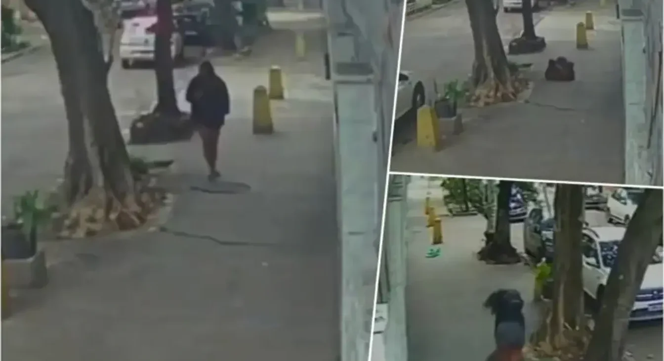 Osoba sa kapuljačom šeta trotoarom pored drveća i žutih stubića.