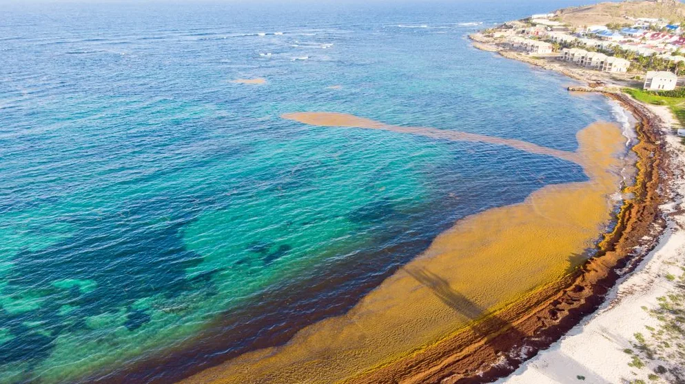 Plavo-zeleno more sa smeđim algama na obali i bijelom pješčanom plažom u blizini naselja