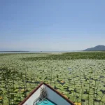 UNESCO priznao Skadarsko jezero: Novi rezervat biosfere za Crnu Goru