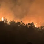 Požar u Mostaru ugašen nakon višednevne borbe, objekti spašeni