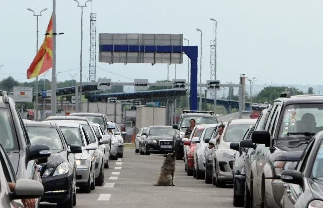 Pas sjedi sam nasred puta u dugoj koloni automobila na graničnom prelazu.