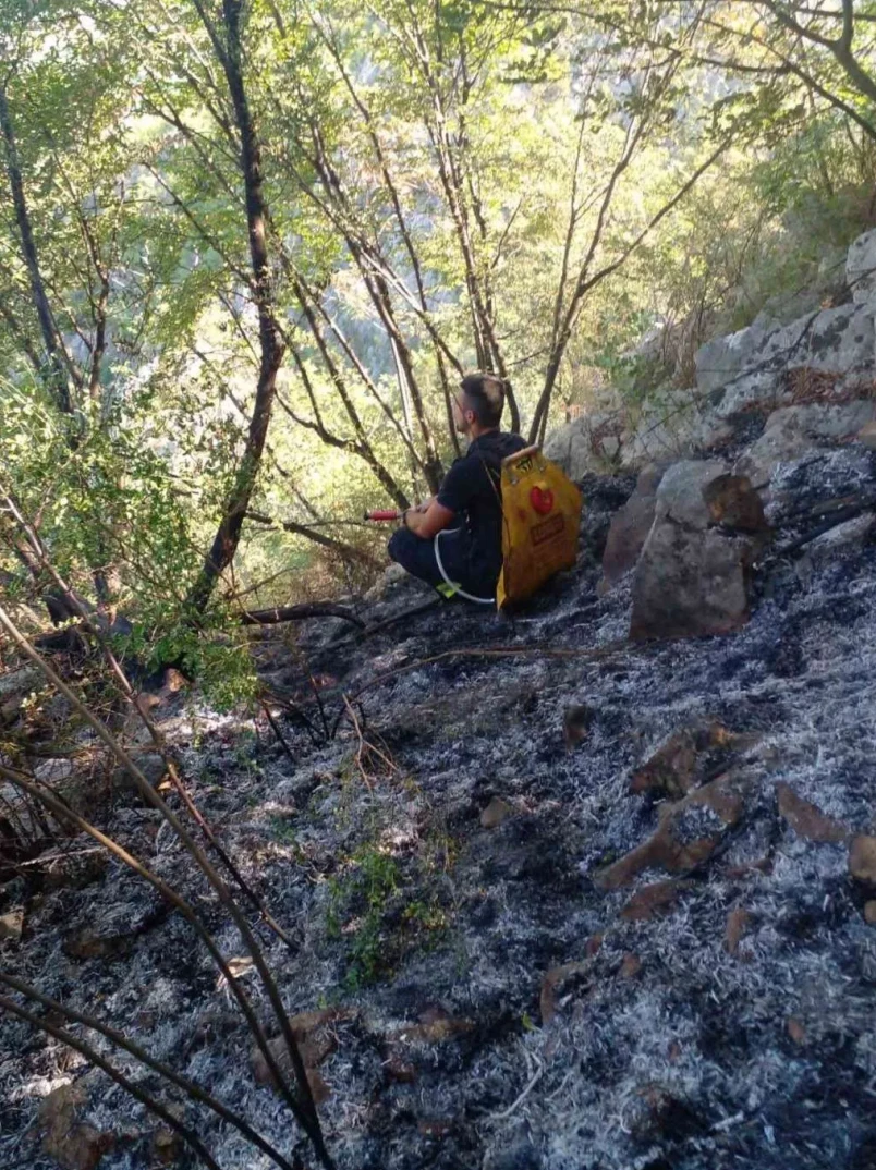 Vatrogasac sjedi na opožarenom terenu i gleda u šumu.