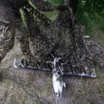 Ruska PVO uništila 172 drona: Najveći napad na Moskvu ove godine