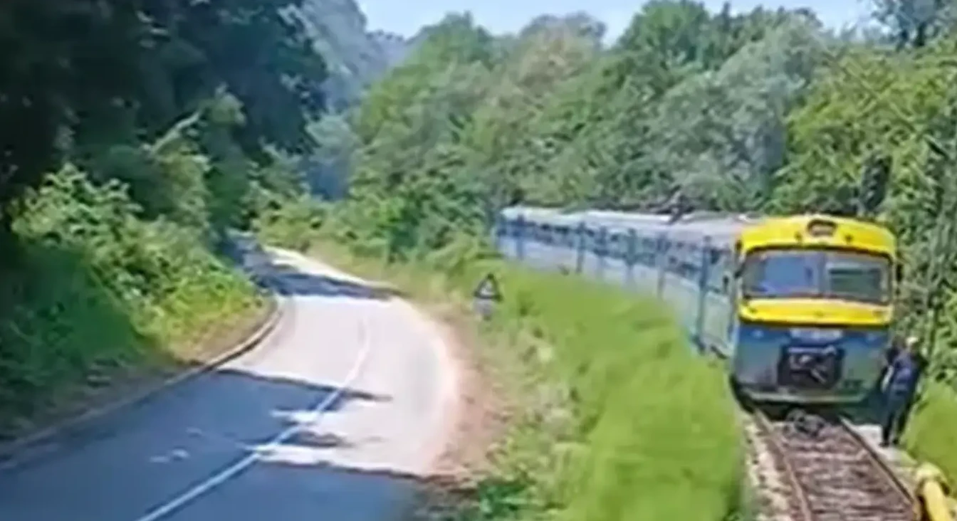 Žuti voz prolazi uskom prugom pored krivudavog puta okruženog gustim zelenilom i drvećem.
