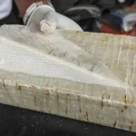 Rekordna zapljena kokaina u Australiji: Policija pronašla skriveni bunker s 2,7 tona droge