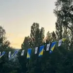 Nakon paljenja državnih simbola: U Livnu postavljeno 16 zastava BiH