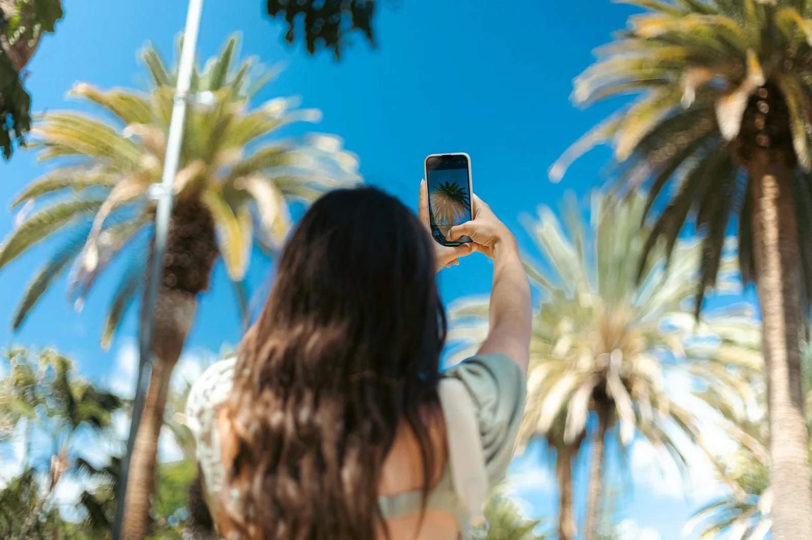 Žena sa dugom tamnom kosom fotografira palmu na mobitel putem mobitela.