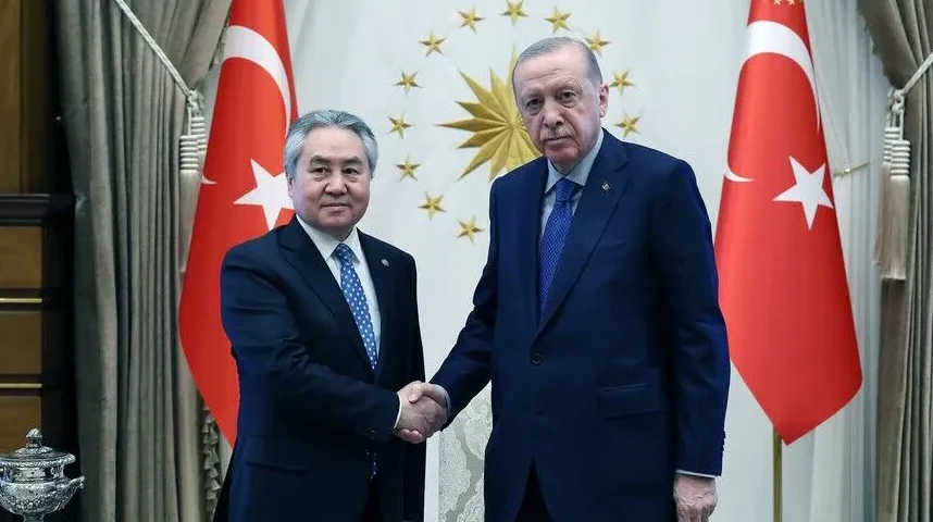 Recep Tayyip Erdoğan i Wang Yi se rukuju ispred turskih zastava
