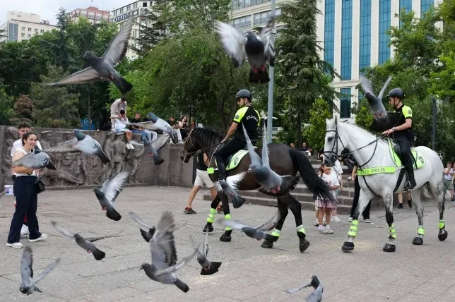 Konjička policija jaše kroz park okružena jatima golubova.