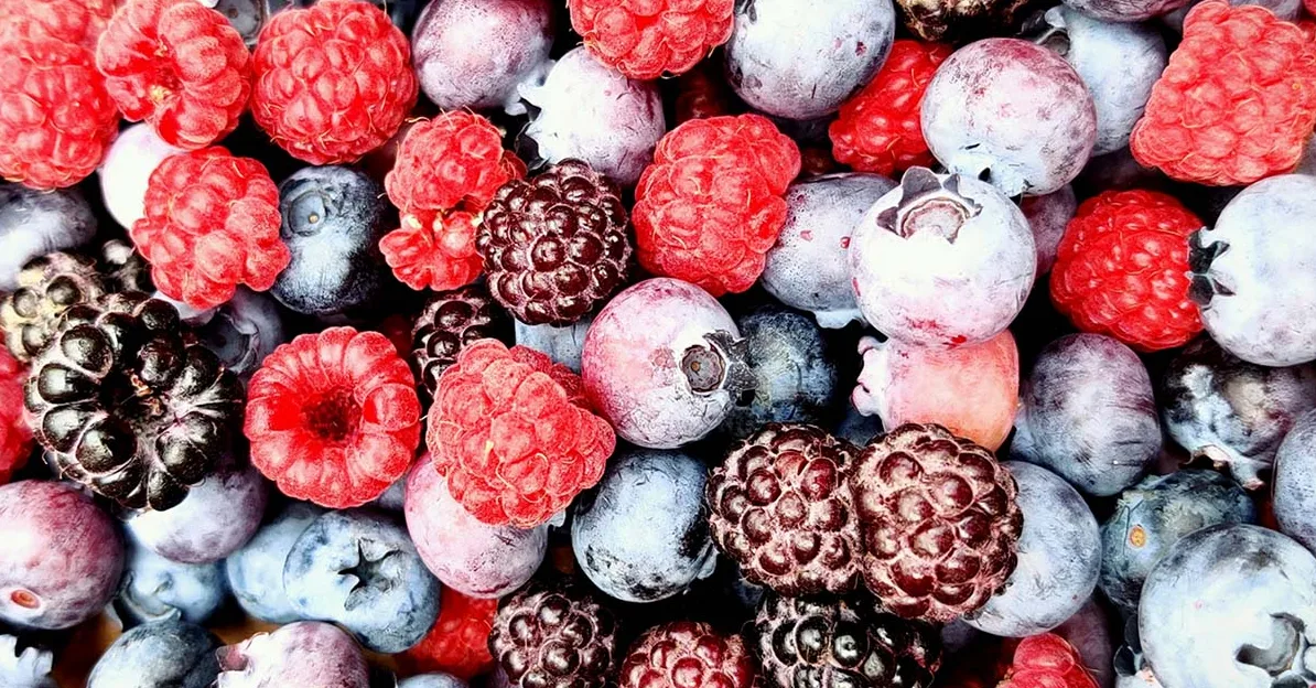 Krupni kadar miješanog šumskog voća, uključujući maline, kupine i borovnice.